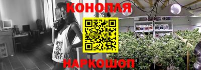 МДПВ Пенза