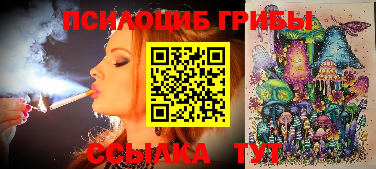 Галлюциногенные грибы Cubensis Рославль