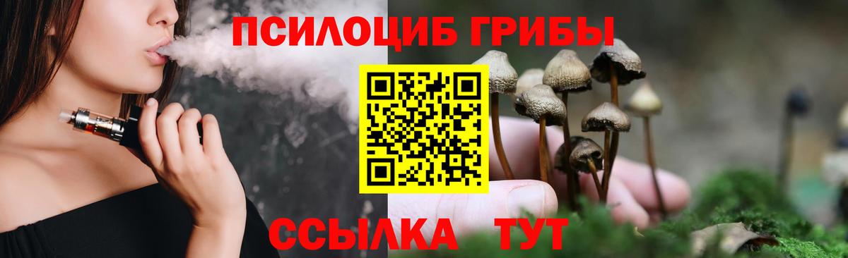 Галлюциногенные грибы GOLDEN TEACHER  Вход с VPN  Рославль  Галлюциногенные грибы Psilocybe 